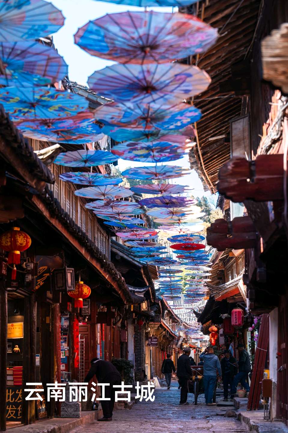 结伴游云南～诗◑李耀文（图32）