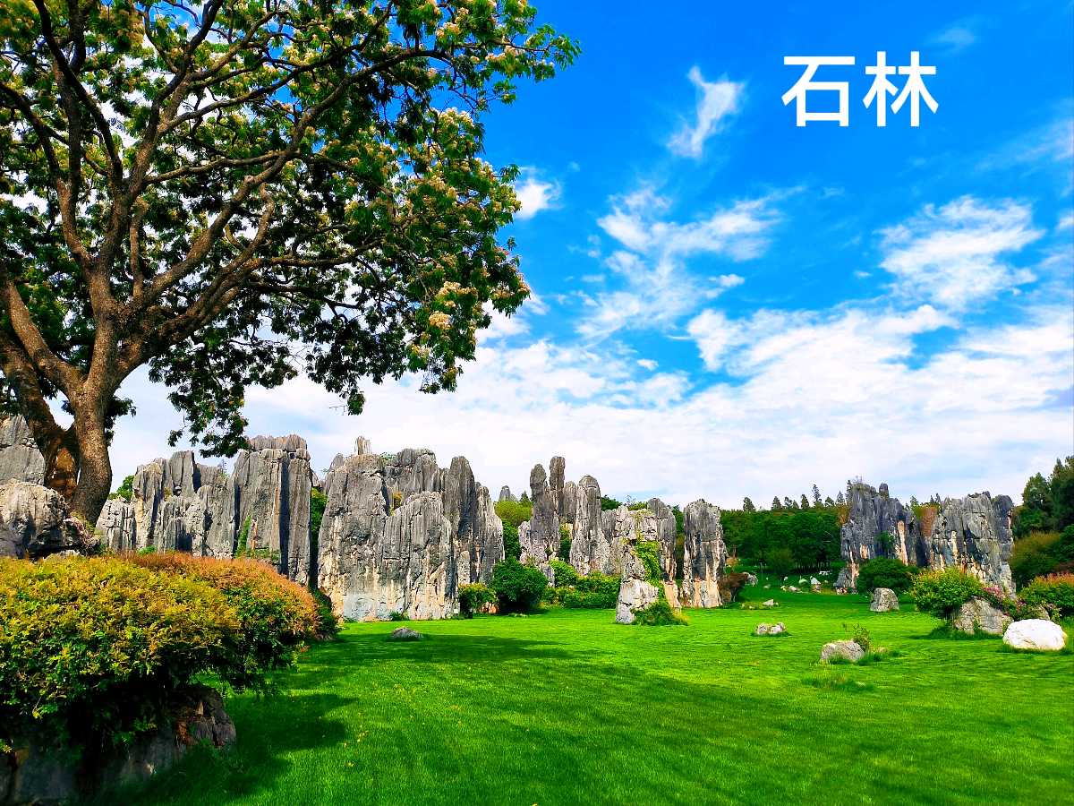 结伴游云南～诗◑李耀文（图18）