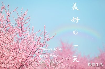 1 1