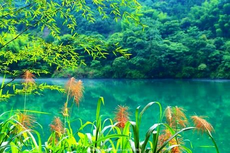 会员风采录‖巴彦诗词楹联协会【1022】(图7)