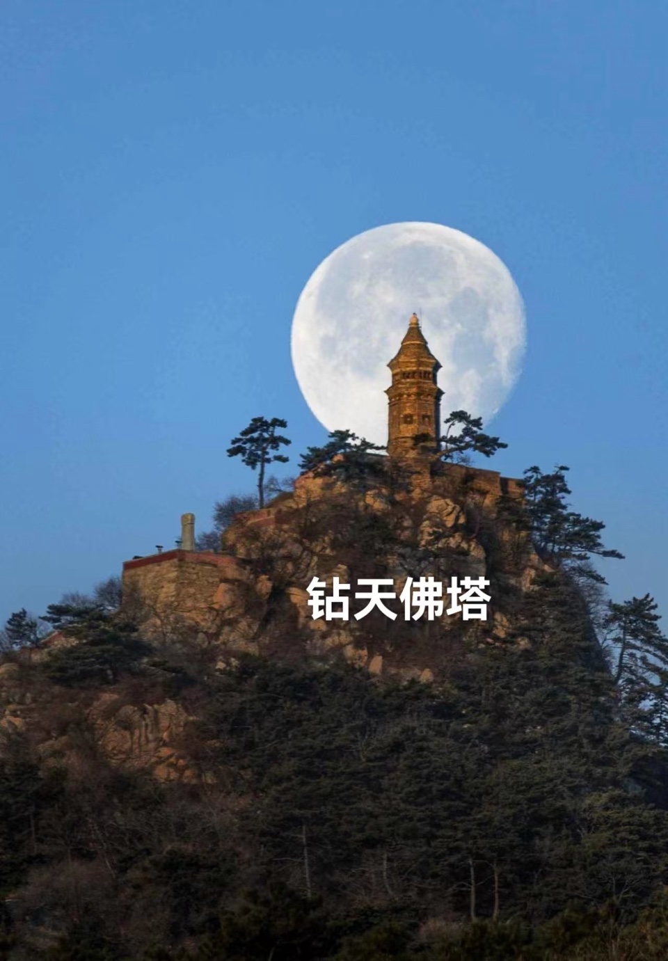 （叙事散文诗）盘山风景名胜区：作者 ||丁培恭｜海外头条（图10）