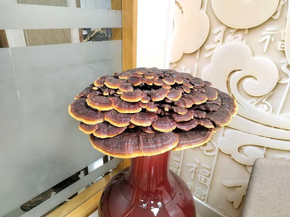 今天是个好日子 文/谦坤 图/洋洋 晋粤传奇平台（图8）