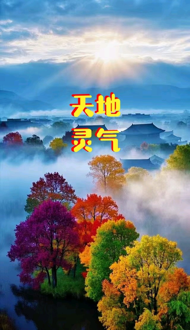 七律-落叶～诗◑王政（图15）