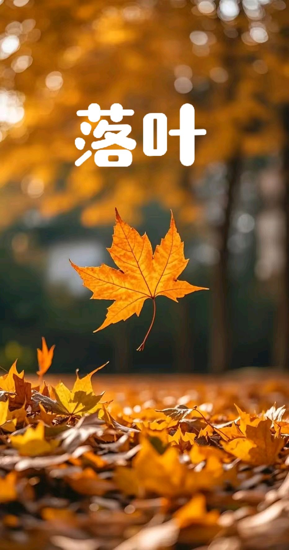 七律-落叶～诗◑王政（图11）