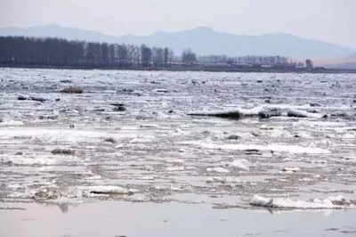 会员风采录‖巴彦诗词楹联协会【1022】(图49)