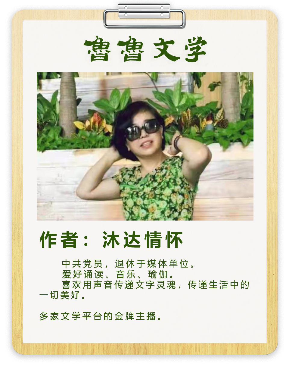作者:沐达情怀 作者:沐达情怀