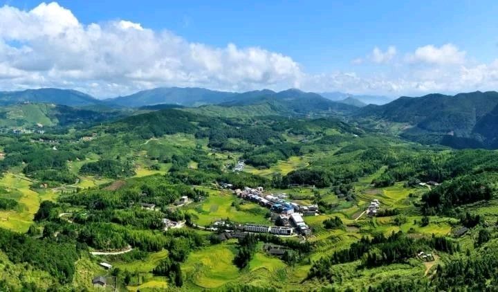 【荣耀中国】请欣赏优秀诗人蒋瑾诗词专辑（图8）