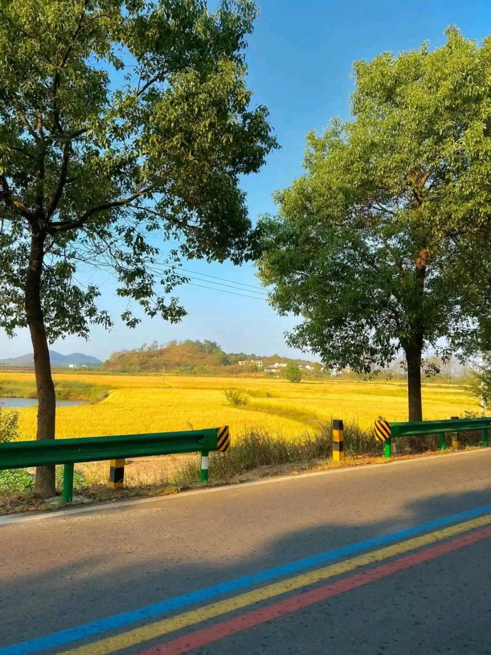 [北京头条]佛山诗词心之旅文学社精选特刊《秋韵》（图51）
