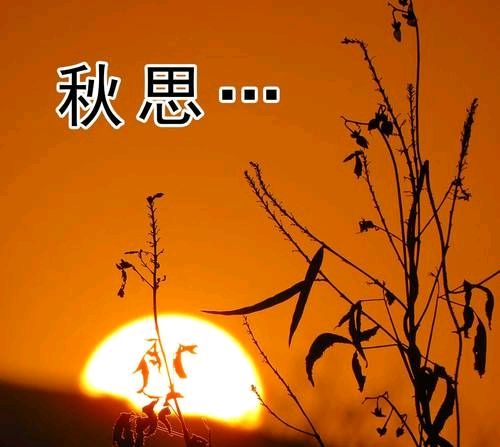 六汪文联格律诗社‖王金平‖秋日杂吟（十首）（图18）