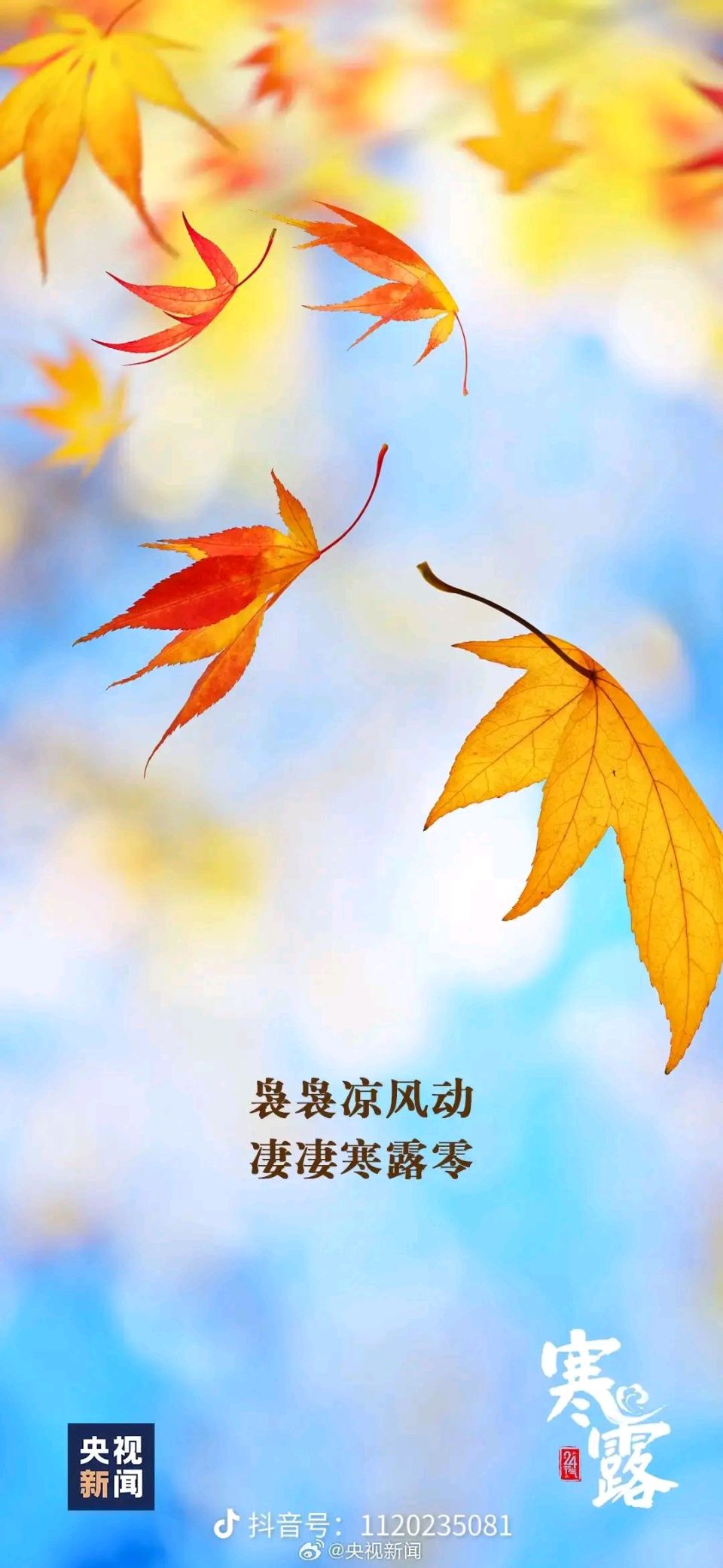 张文彩老师精彩诗词彩曲佳作摘录与君共赏（图5）