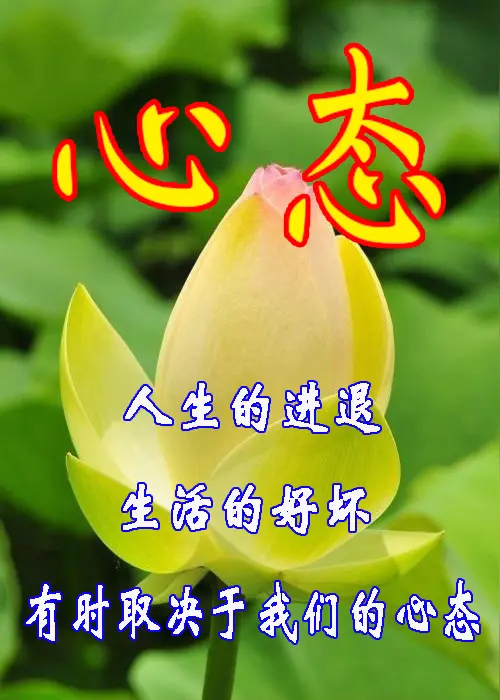 《田歌当代诗几首》作者：田歌 [中国现代诗歌文化传媒推荐]（图6）