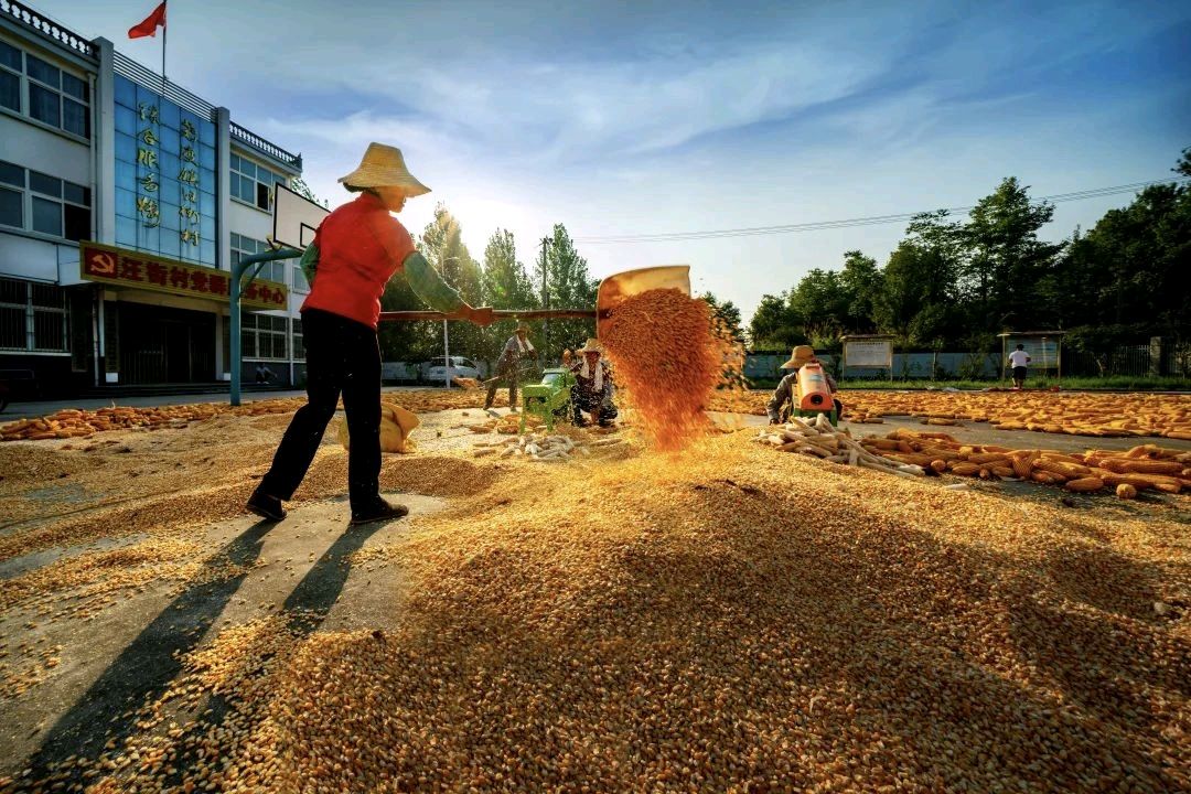 国风吉林社诗人李静（辽宁丹东）格律诗词2025年第十九期【总第二十二期】—北京头条（图5）