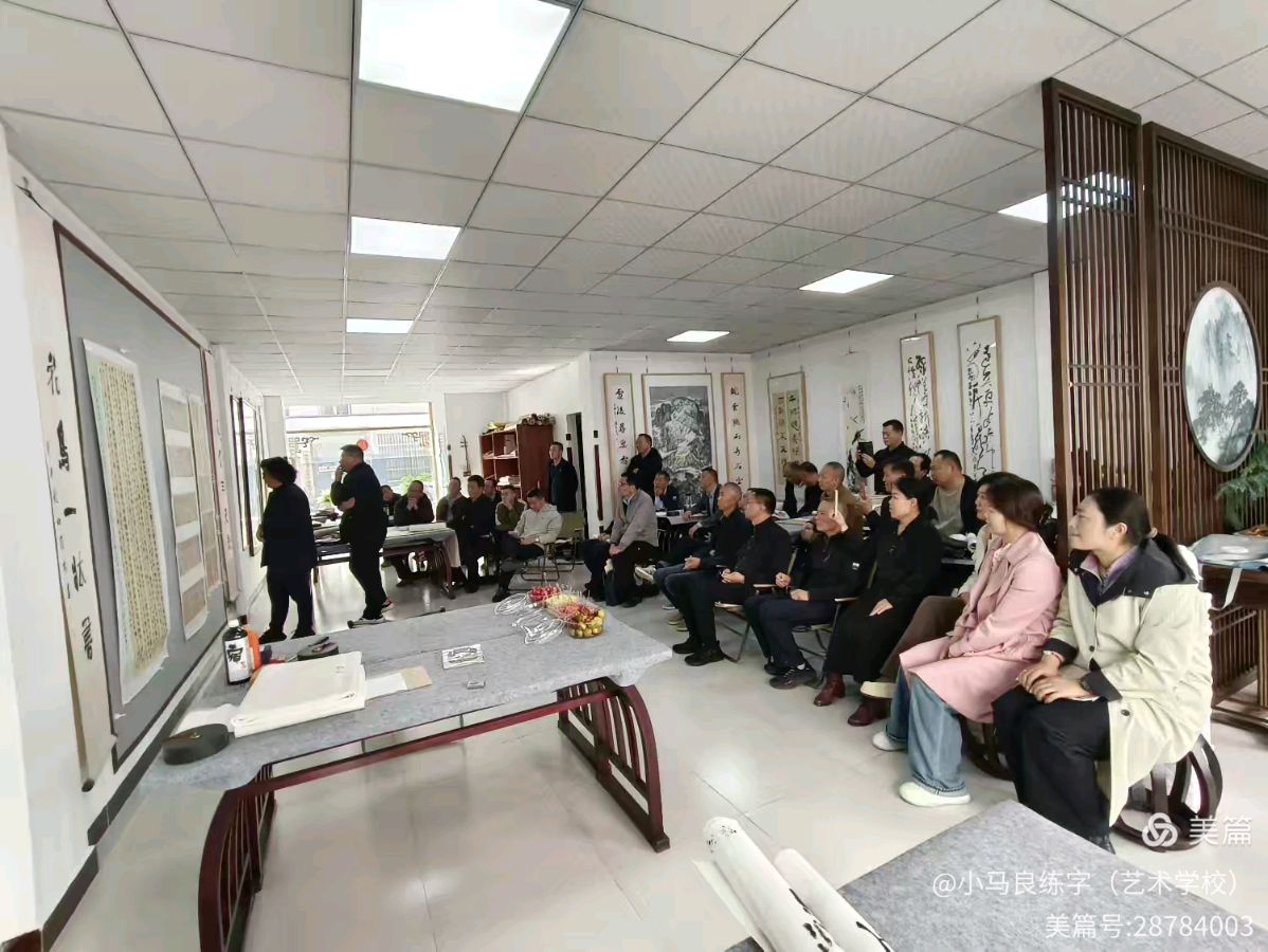 肥城市开展'强基工程'文艺助力基层活动 书法名家传经送宝（图14）