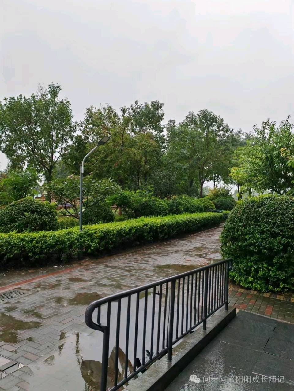 吟秋七言诗——李咸化(山东济南)（图5）