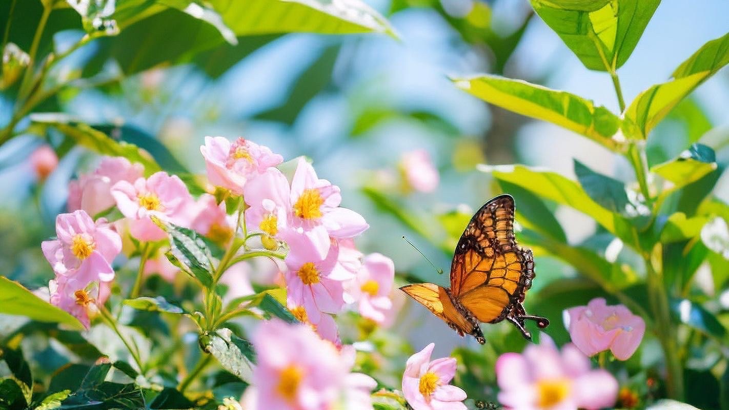 【新诗大观】南京燕子矶（四首）||文/李家文(安徽)（图3）