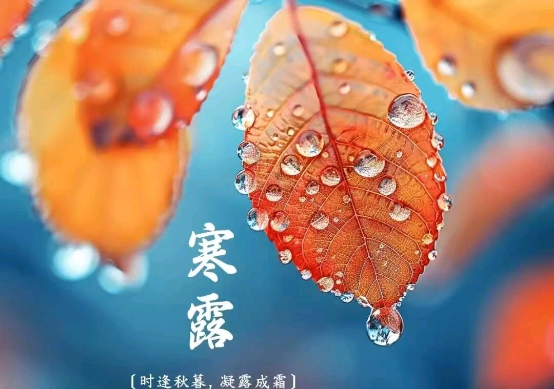 【风雅诗社】寒露养生诀文/李咸化(山东济南)（图4）