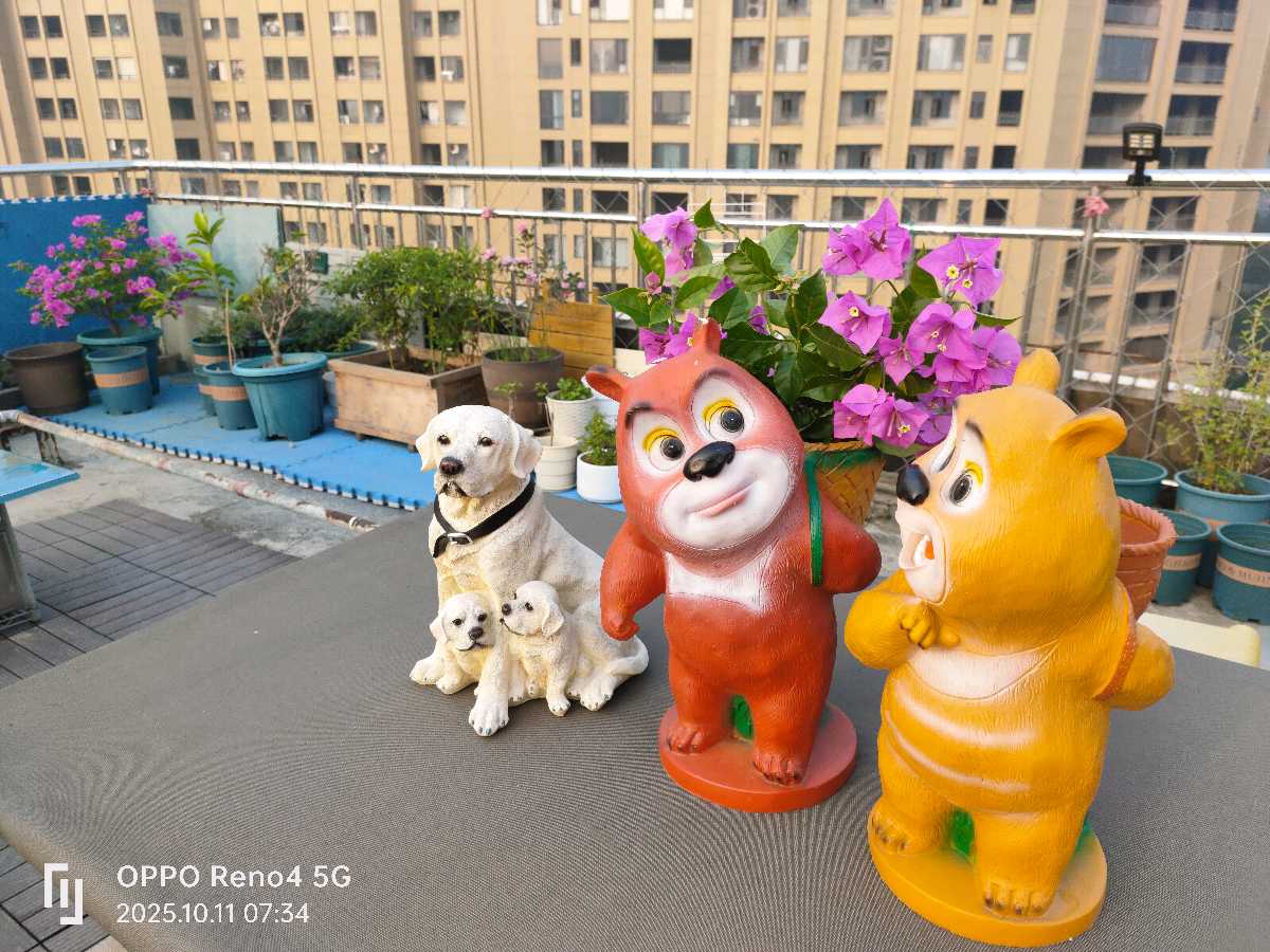 诗一首/欢喜国蓉、小玲美眉同学来空中花果园作客（图5）