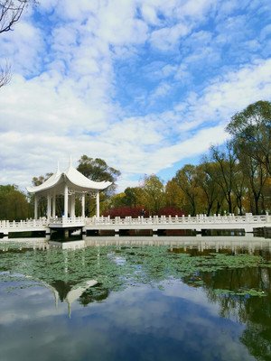 九合群唱和第72期：咏太阳岛‖巴彦诗协【1026】（图10）