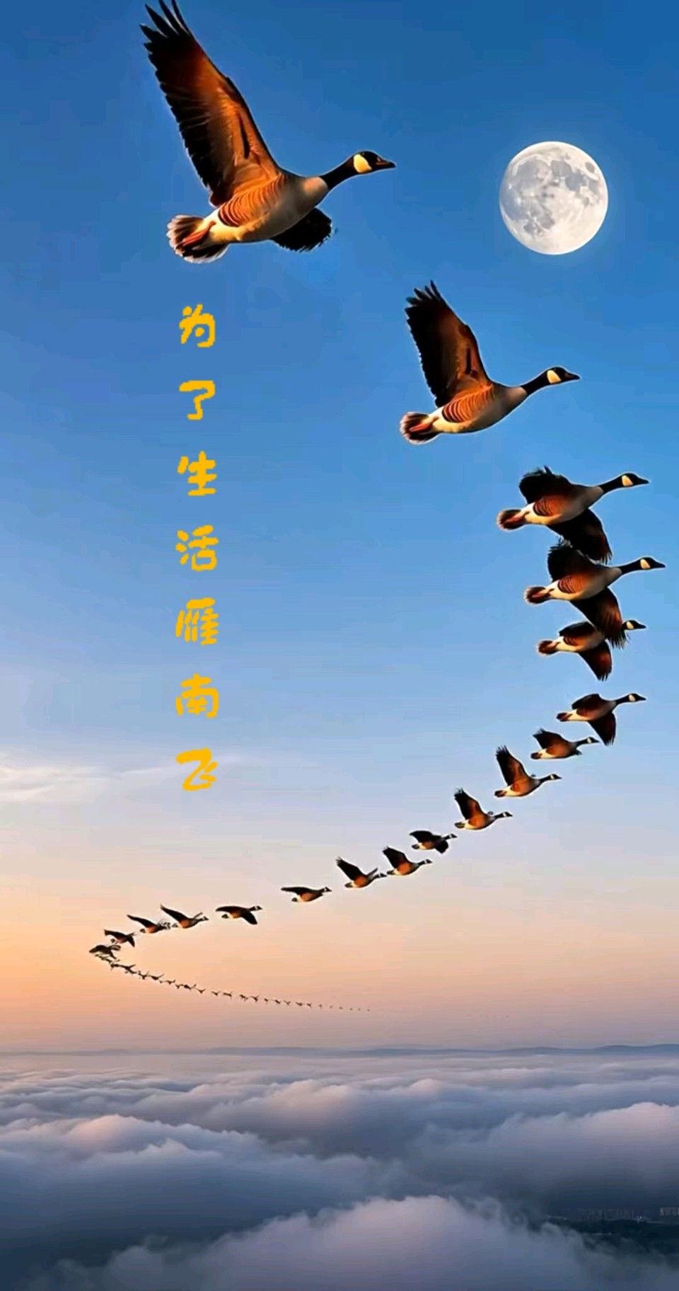 七绝-秋思～诗◑王政（图14）