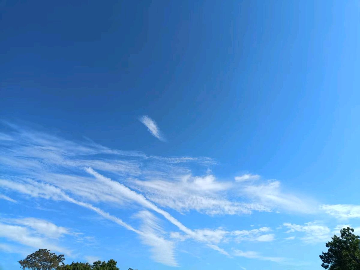 【都市头条向幸福出发编辑部】第14270期 秋至深时 文 如月主播 孙树荣