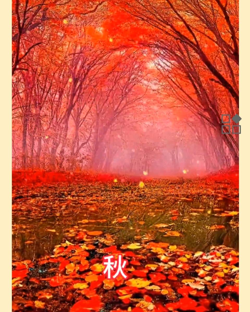 【都市头条向幸福出发编辑部】第14272期 在书页的翻动中 文 如月 主播 浩素（图3）