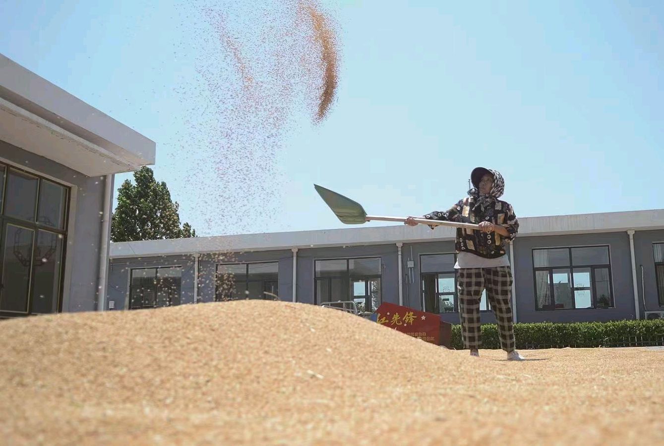 童年的场院 作者：姚树学（图9）
