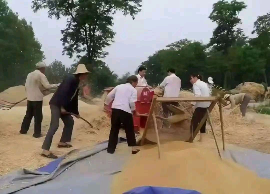 童年的场院 作者：姚树学（图3）