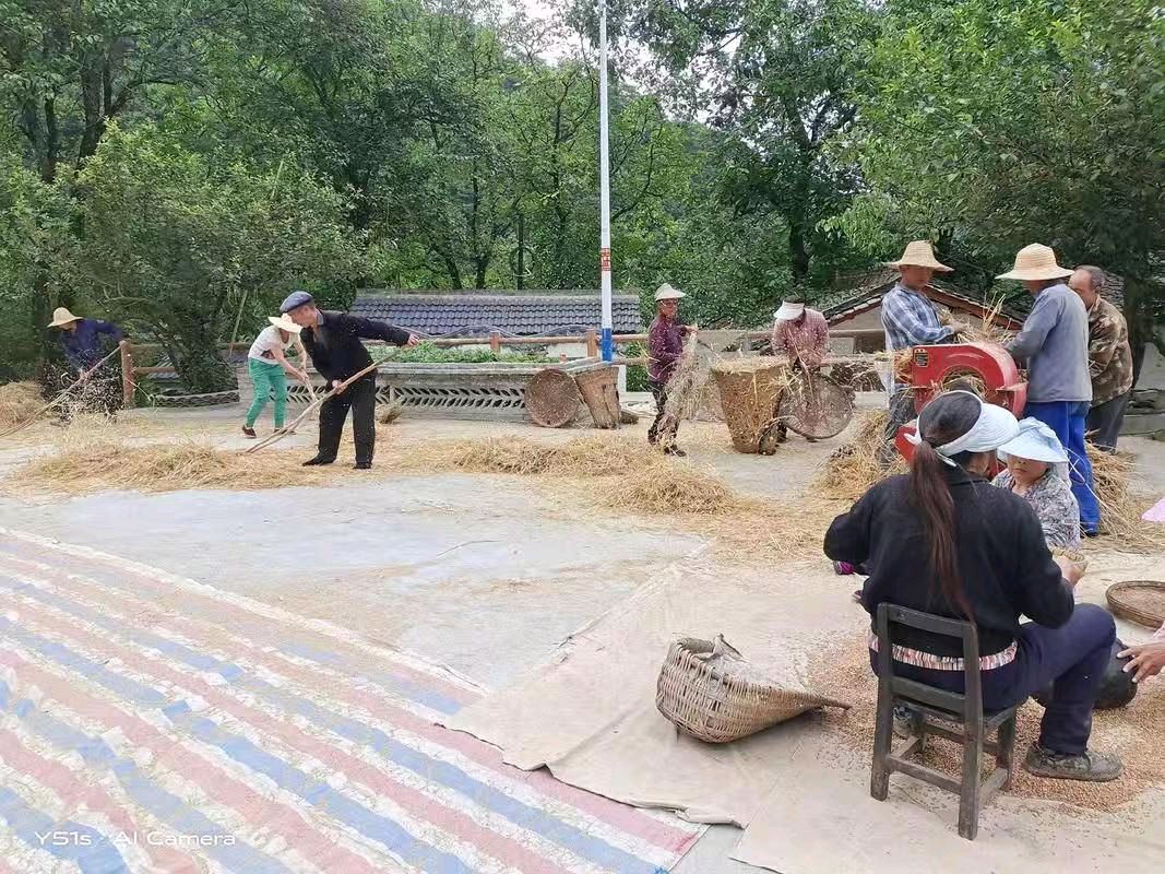 童年的场院 作者：姚树学（图8）