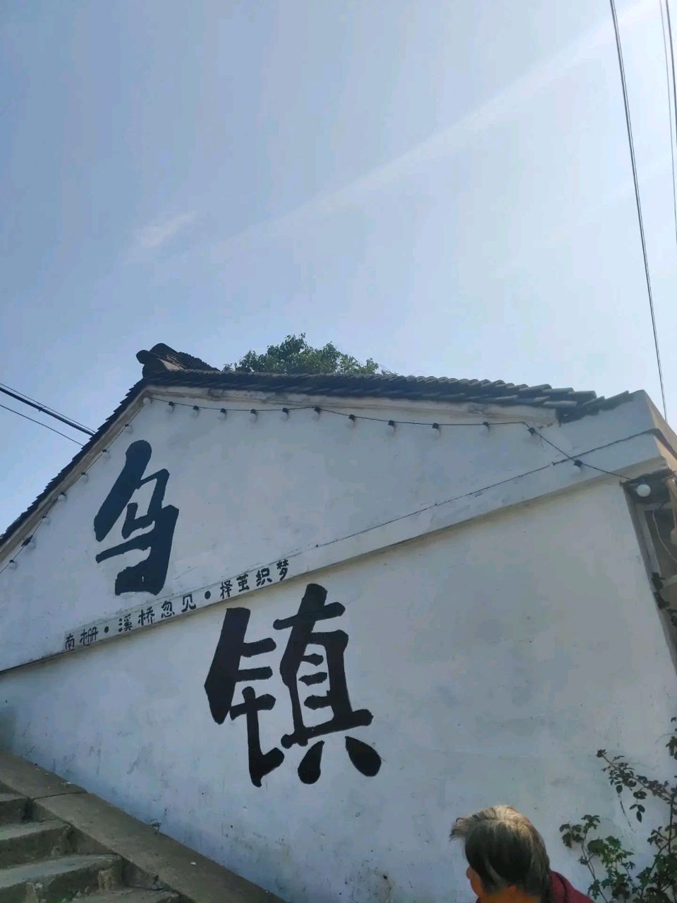 张维清老师精彩诗歌与君共赏