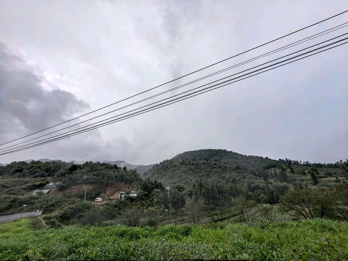 孟子书院运营新思路：以文化为根，以教育为翼（图2）
