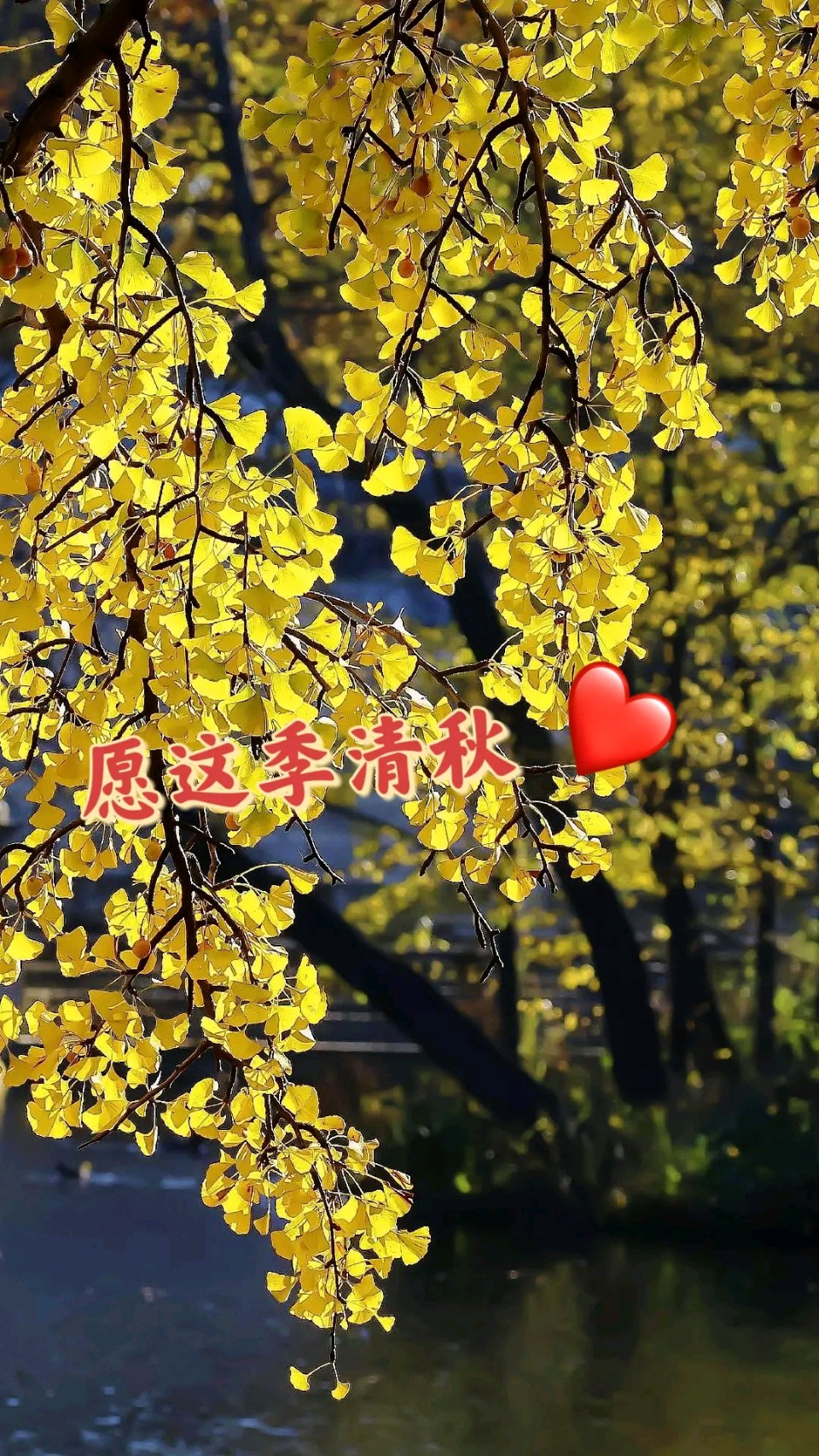 慧麒麟（吴镇良）老师原创诗词与君共赏（图5）