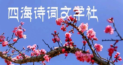 敬请欣赏||四海诗词文学社2025晚秋颂歌绝句专辑