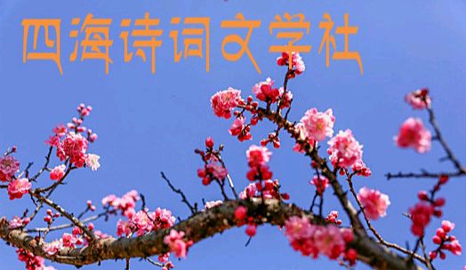敬请欣赏||四海诗词文学社2025晚秋颂歌之词曲专辑