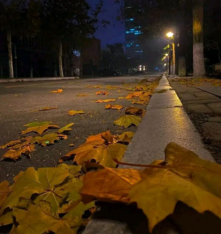 长沙市谭戈龙先生咏落叶组诗与君共赏（图6）