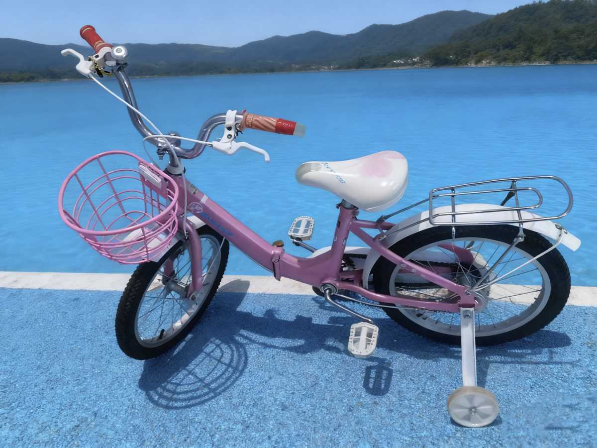 中国五好群原创作品《一辆小自行车》/诗作家：赵东成【第六十九期】（图11）