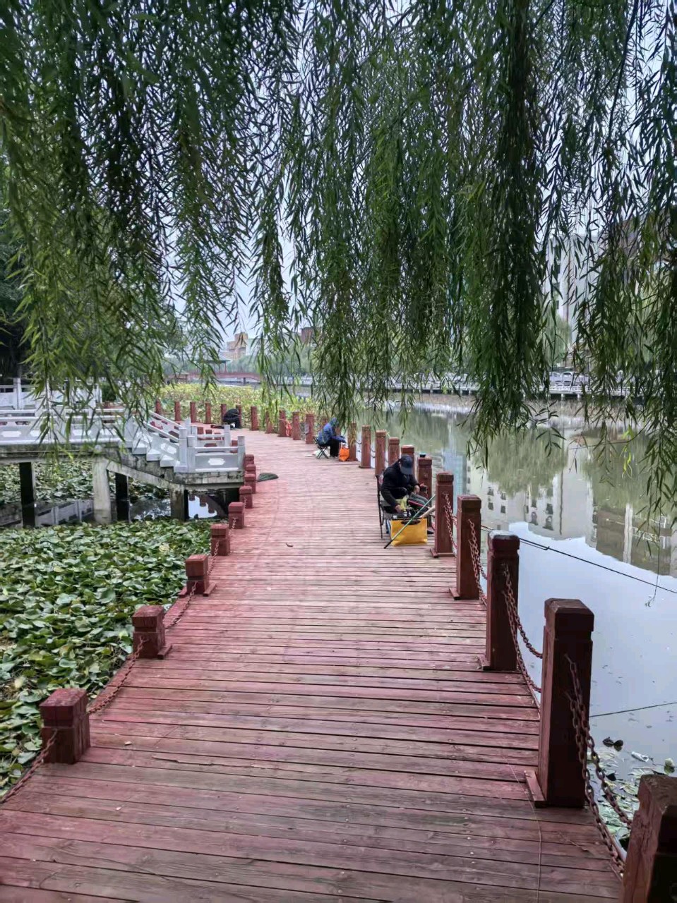 晨游～诗◑陈展（图14）