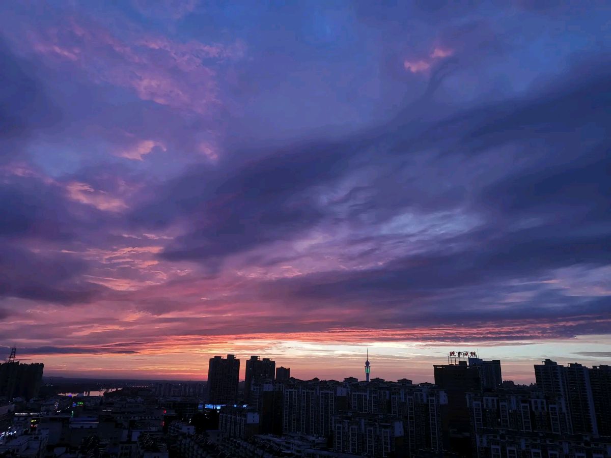 量子诗歌'七嘴八舌'说诗评诗系列之曹源老师的《背书的人》让你读懂人性——文化强国量子诗歌实验室（筹）（图16）