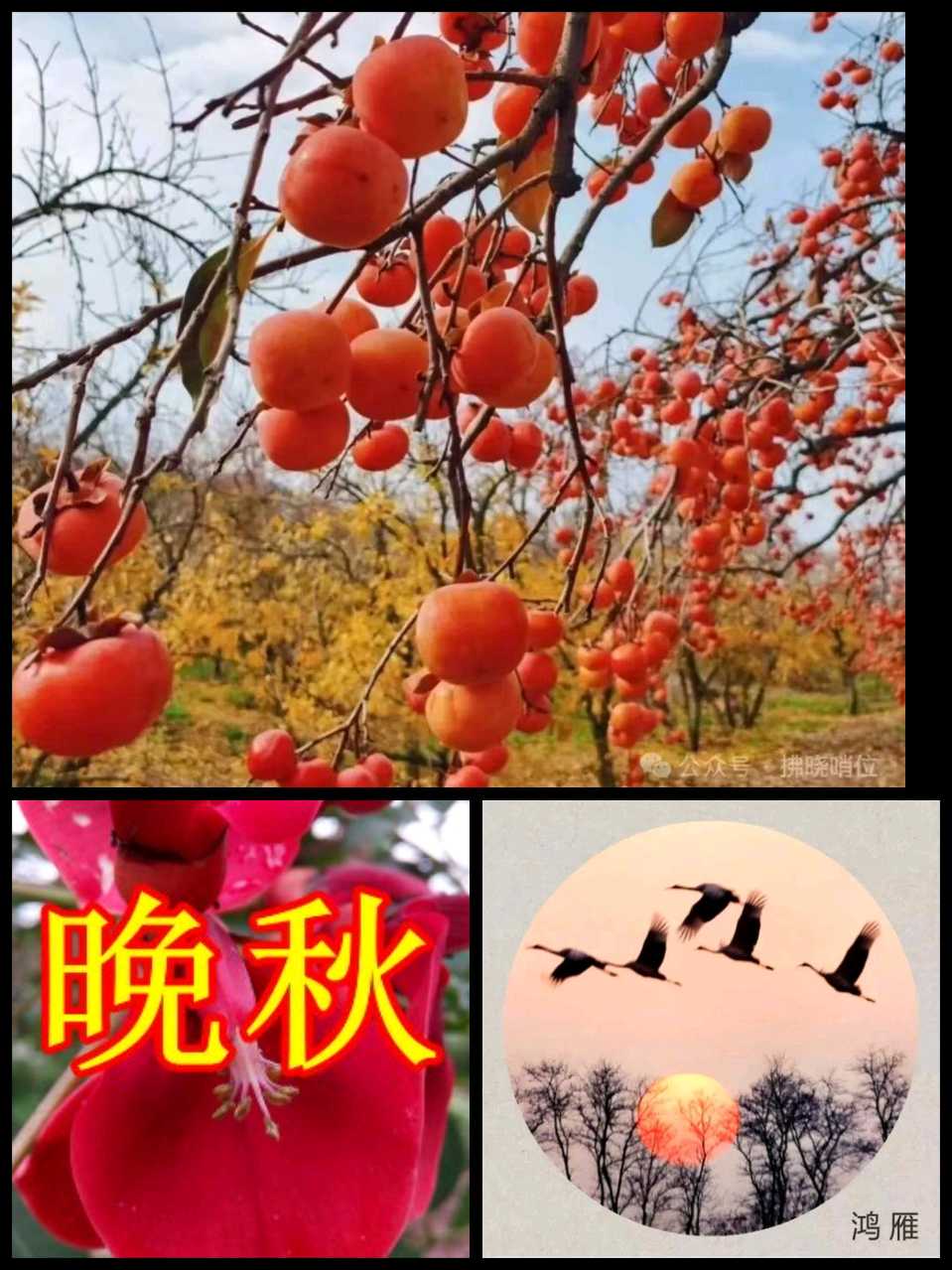 【重磅推出】鲁坡//晚秋情思[大道无坦途]系列作品展（图3）