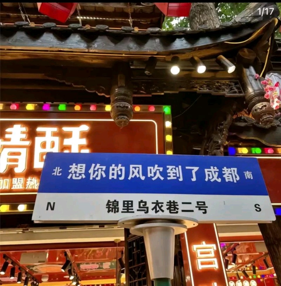 【旅游天地】成都纪行 作者：董俊青（青海西宁）（图4）
