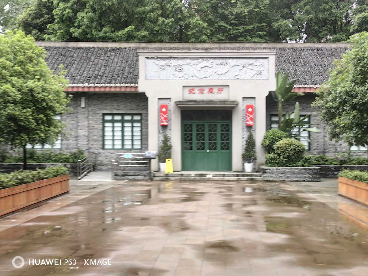 【旅游天地】成都纪行 作者：董俊青（青海西宁）（图18）