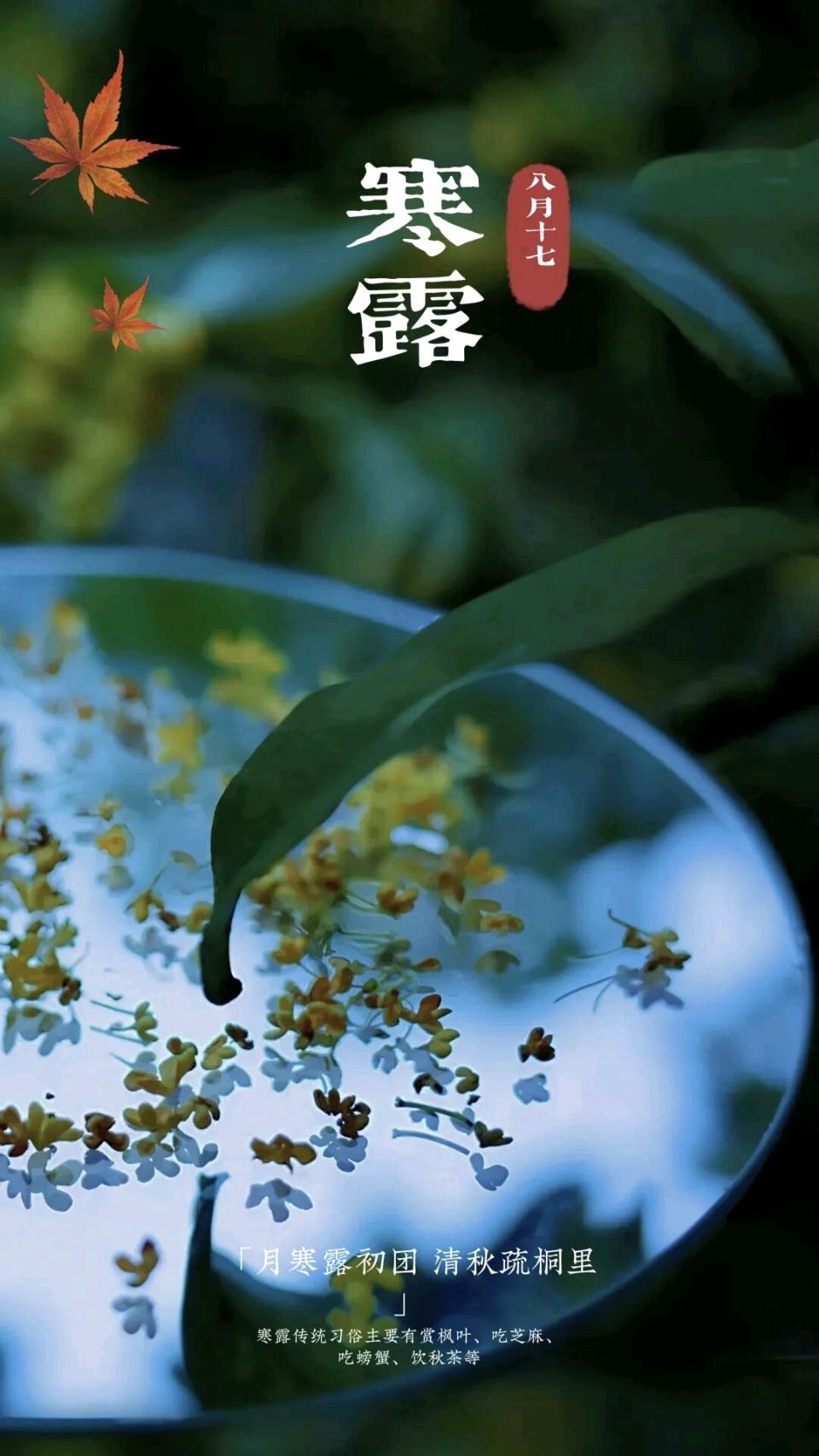 菩萨蛮，寒露吟(词林正韵)/作者：关怀宪（图3）