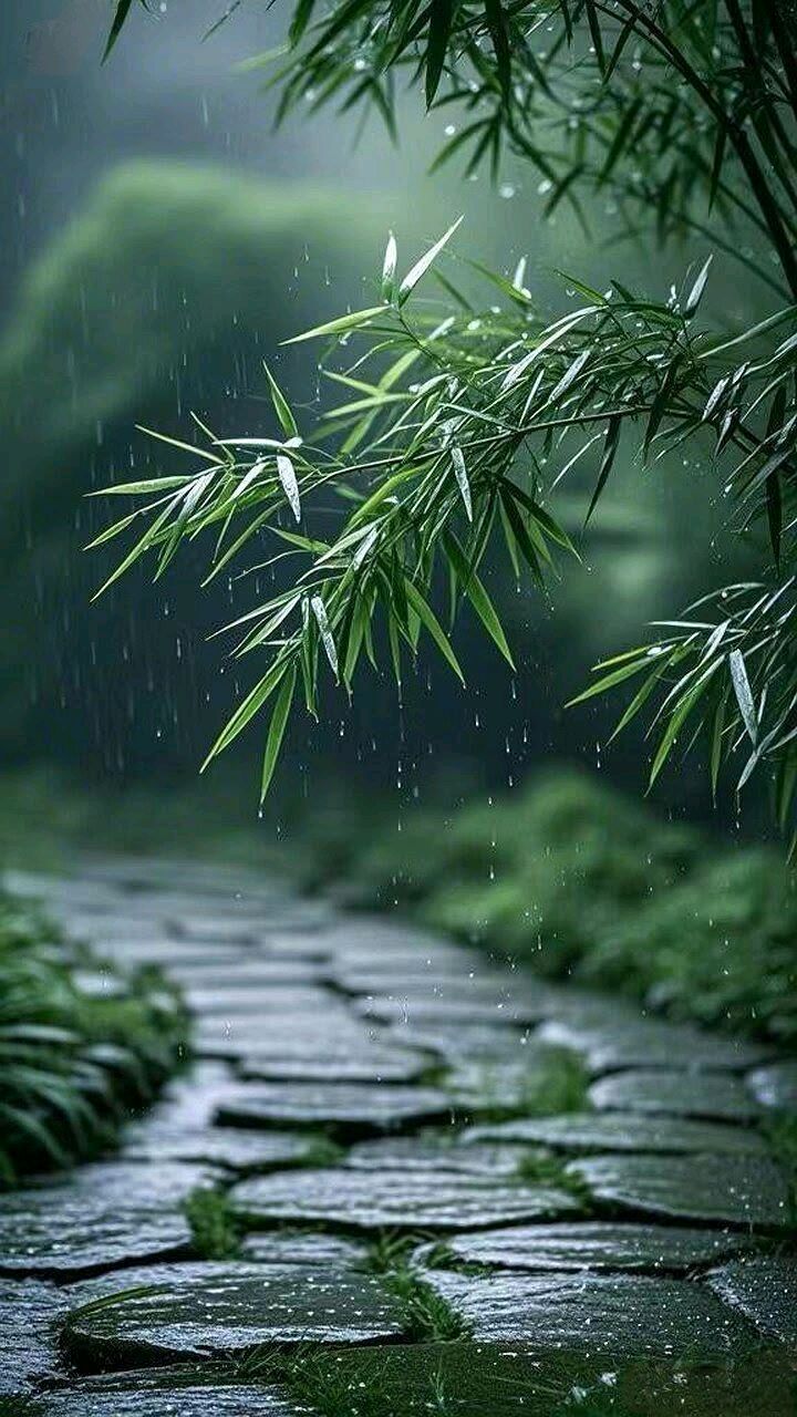 十字环复通篇回文诗三首～诗◑浴乎沂（图8）