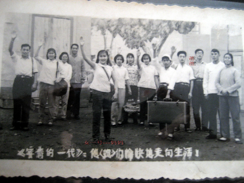 微信图片_20251021061751_79_224 微信图片_20251021061751_79_224