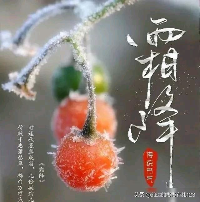 【风雅诗社】《霜降》随笔丰茂春（图8）