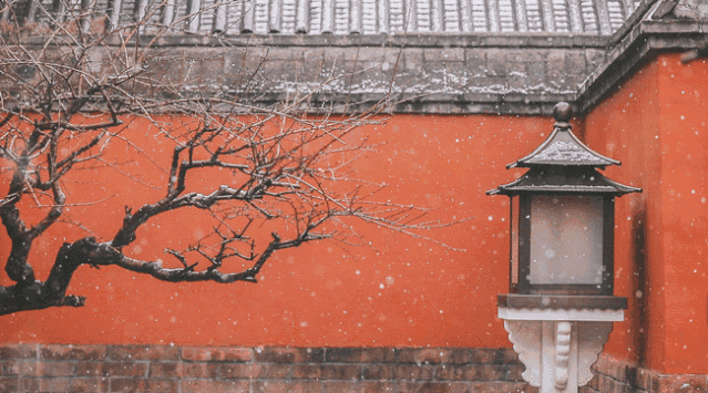 ［佳作欣赏］我与雪花有个约定（外一首）//文/侯鸽（图2）