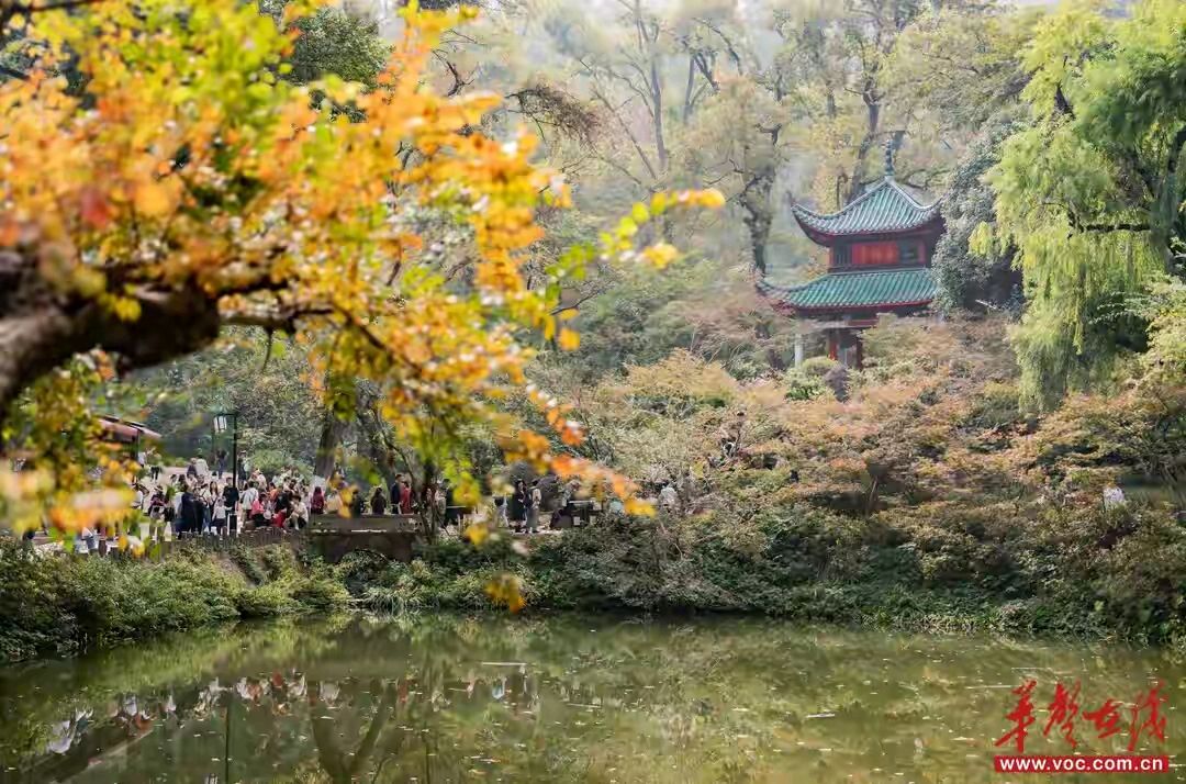 《当代诗人红蝴蝶当代诗词五首》作者：红蝴蝶 [中国现代诗歌文化传媒推荐]（图6）