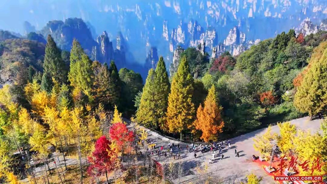 《当代诗人红蝴蝶当代诗词五首》作者：红蝴蝶 [中国现代诗歌文化传媒推荐]（图7）
