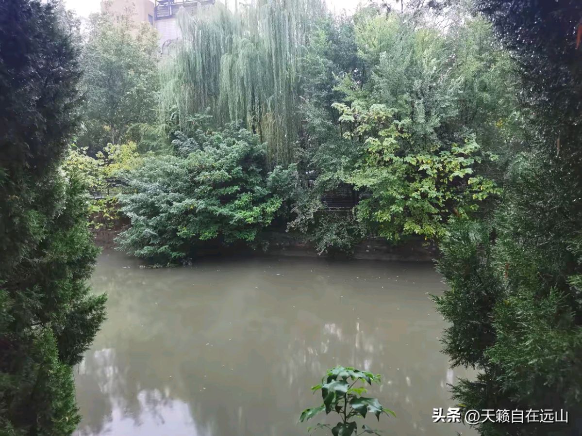《涧石当代诗及当代古诗鉴赏》作者：涧石 [中国现代诗歌文化传媒推荐]（图8）