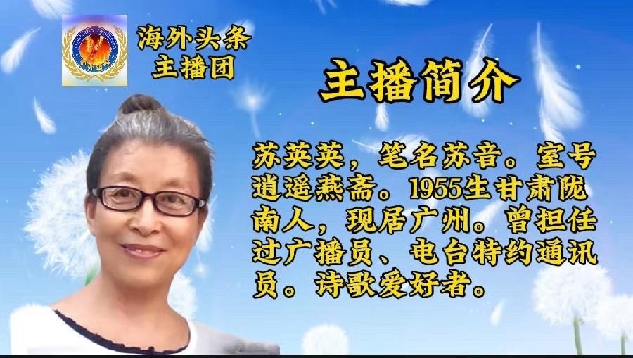 红棉法韵·巾帼仲裁吟：作者||苏音｜海外头条（图11）