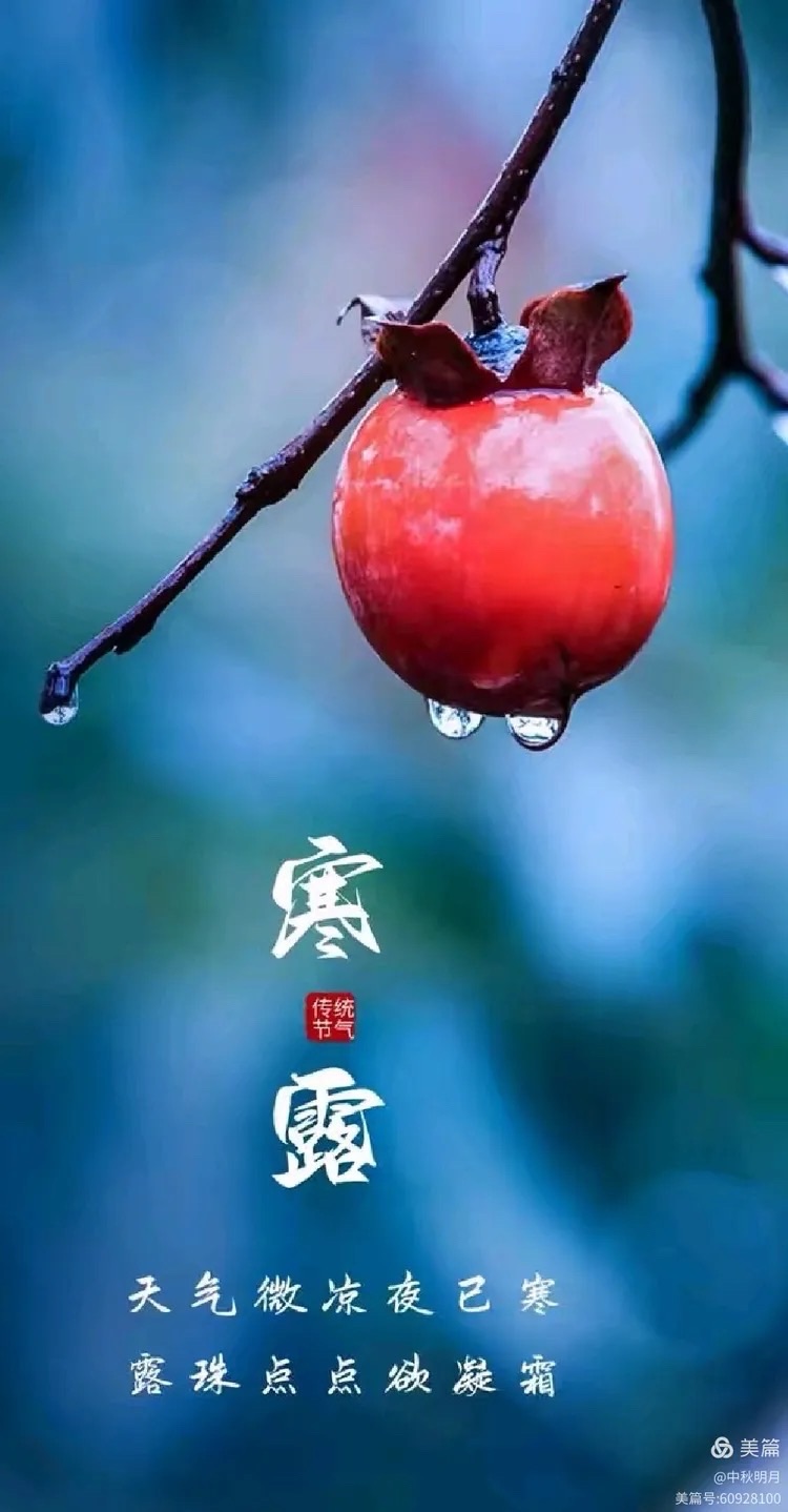 【诗词卌九首】: 作者||曾振华|海外头条(图5)